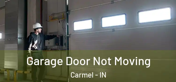  Garage Door Not Moving Carmel - IN