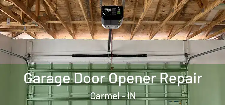  Garage Door Opener Repair Carmel - IN