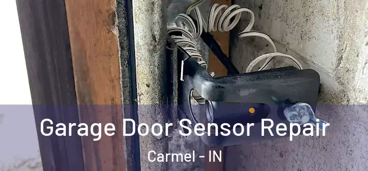 Garage Door Sensor Repair Carmel - IN