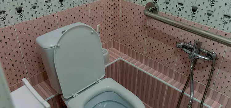 Meeting Diverse Needs With Accessible Restroom Solutions in Carmel, IN