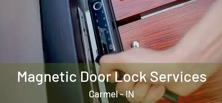 Magnetic Door Lock Services Carmel - IN