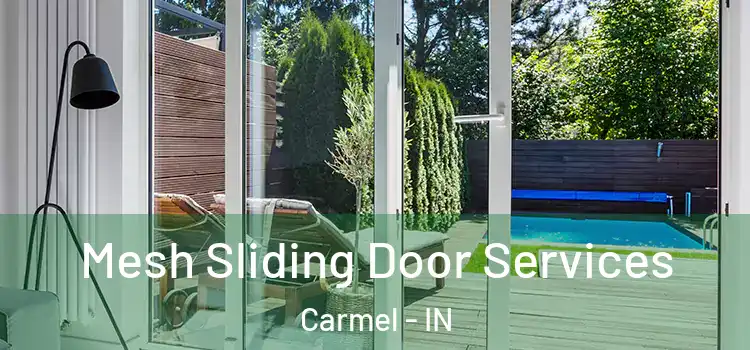 Mesh Sliding Door Services Carmel - IN