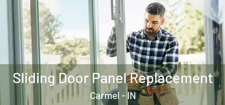  Sliding Door Panel Replacement Carmel - IN